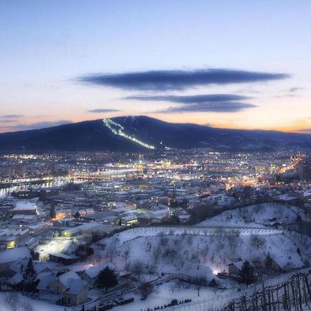 Apartma4Us Maribor Bagian luar foto